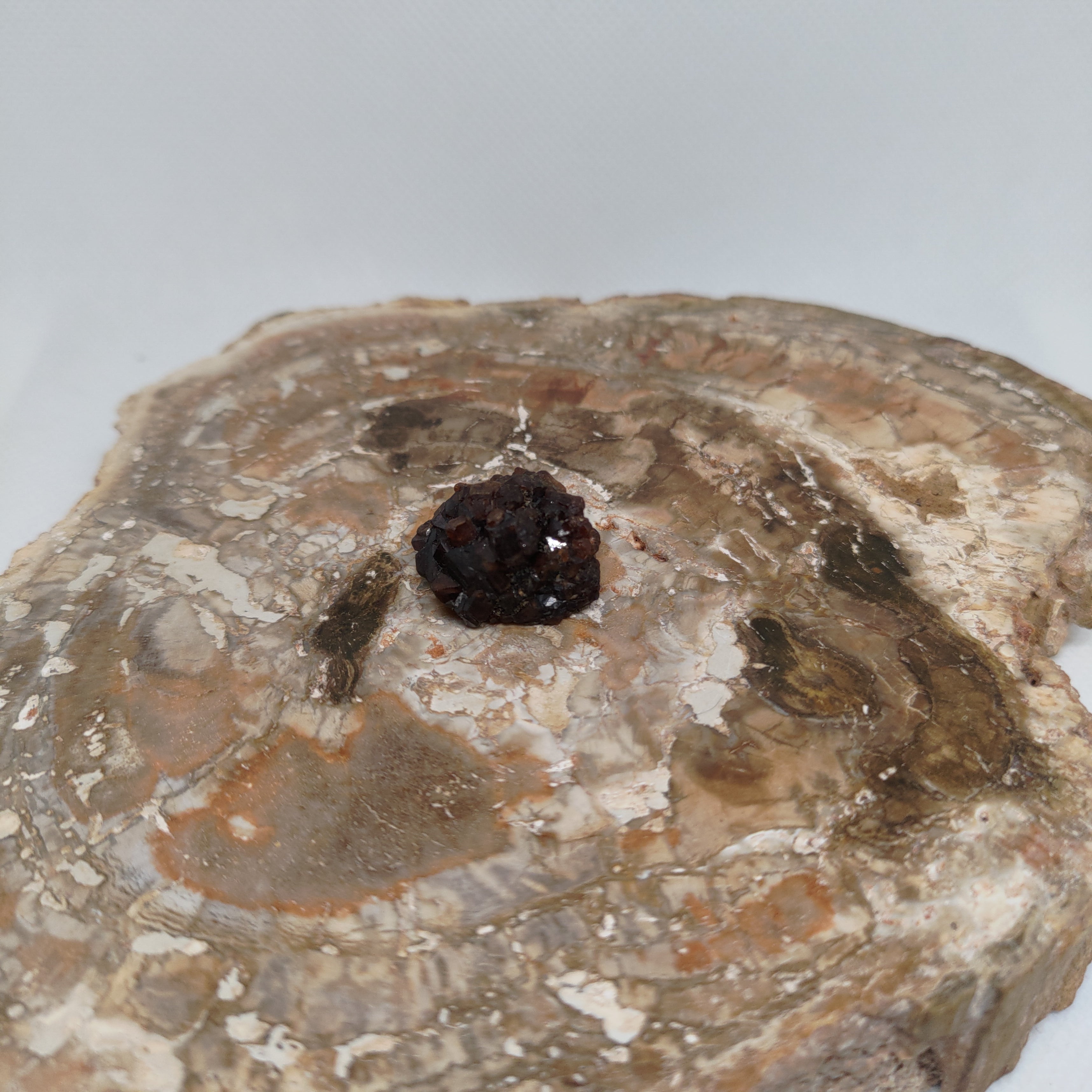 Andradite Garnet Crystal Cluster Specimen from Pakistan Ref: 0169