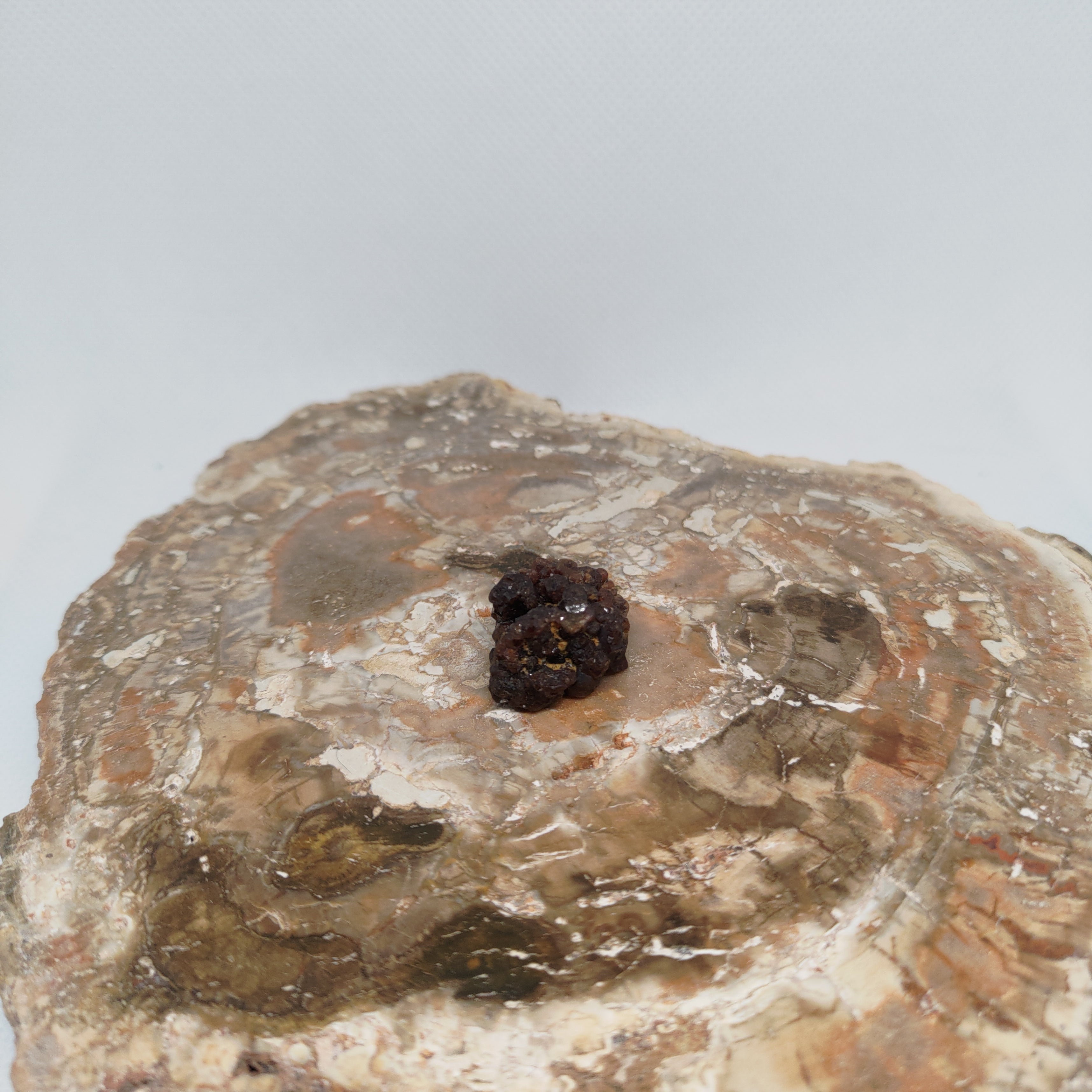 Andradite Garnet Crystal Cluster Specimen from Pakistan Ref: 0169