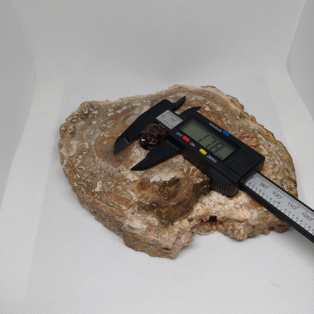 Andradite Garnet Crystal Cluster Specimen from Pakistan Ref: 0169