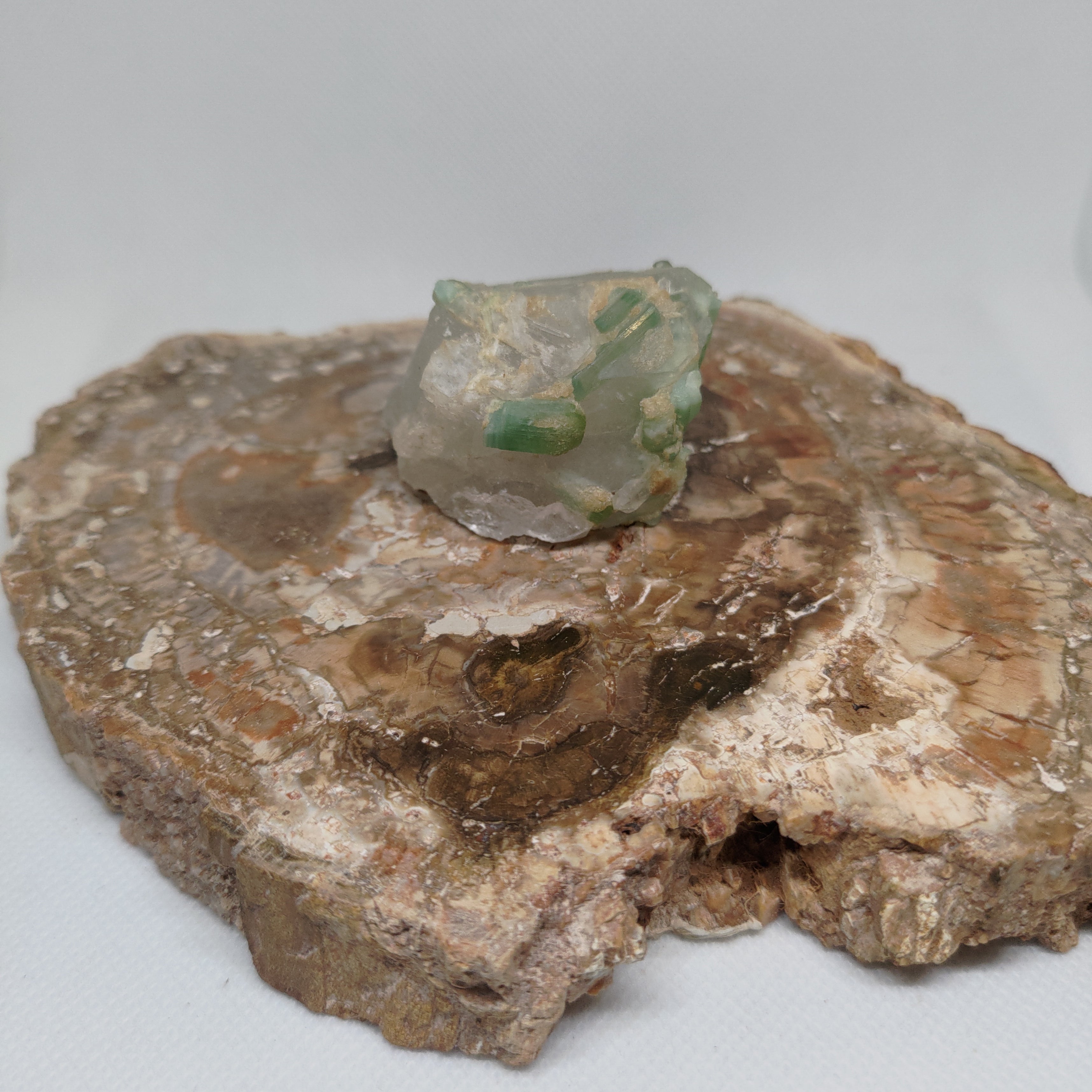 Green Tourmaline in Quartz Specimen from Pakistan Ref: 0170