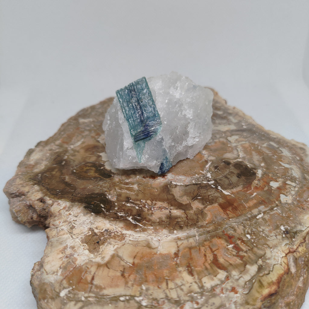 Blue Kyanite in Quartz Specimen from Pakistan Ref: 0171
