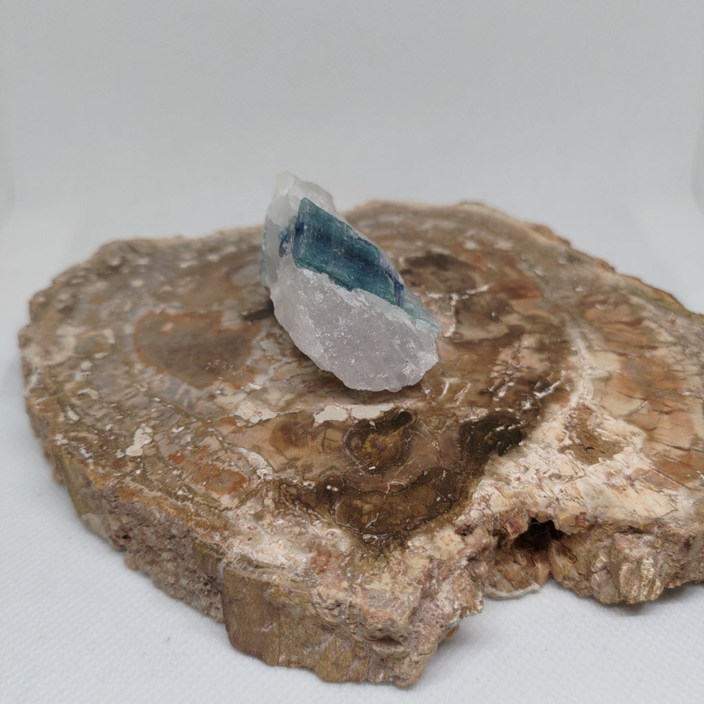 Blue Kyanite in Quartz Specimen from Pakistan Ref: 0171