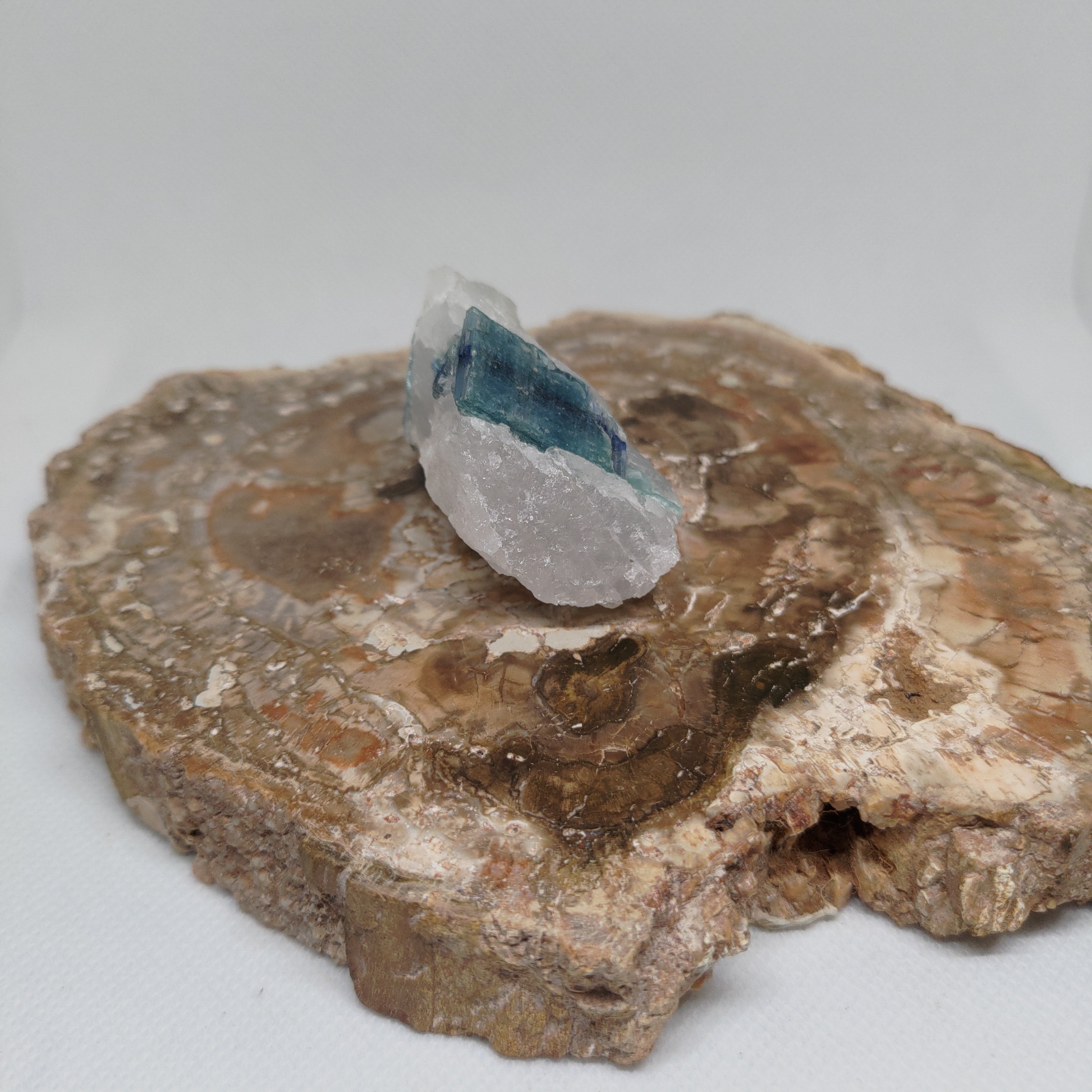Blue Kyanite in Quartz Specimen from Pakistan Ref: 0171
