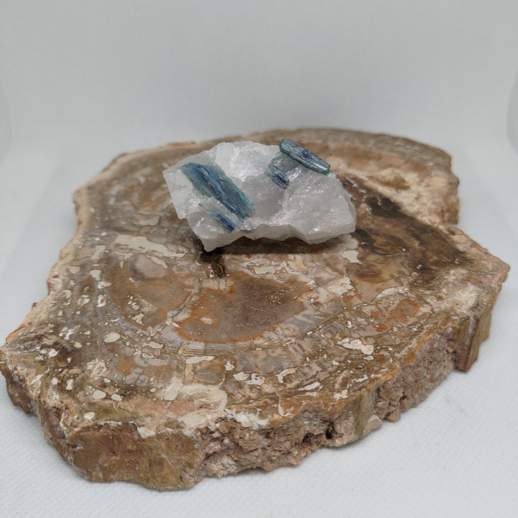 Blue Kyanite in Quartz Specimen from Pakistan Ref: 0171