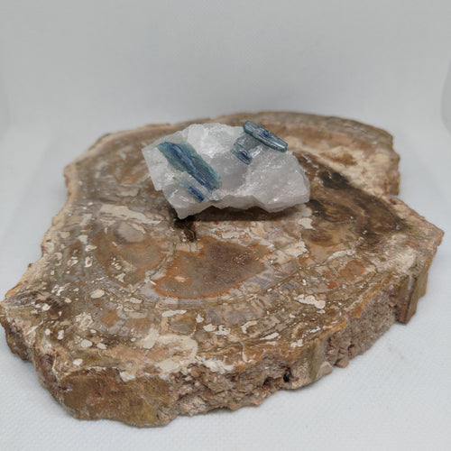 Blue Kyanite in Quartz Specimen from Pakistan Ref: 0171