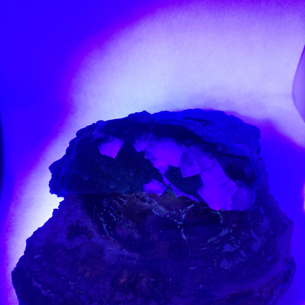 Fluorite with Calcite Specimen Ref: 0173