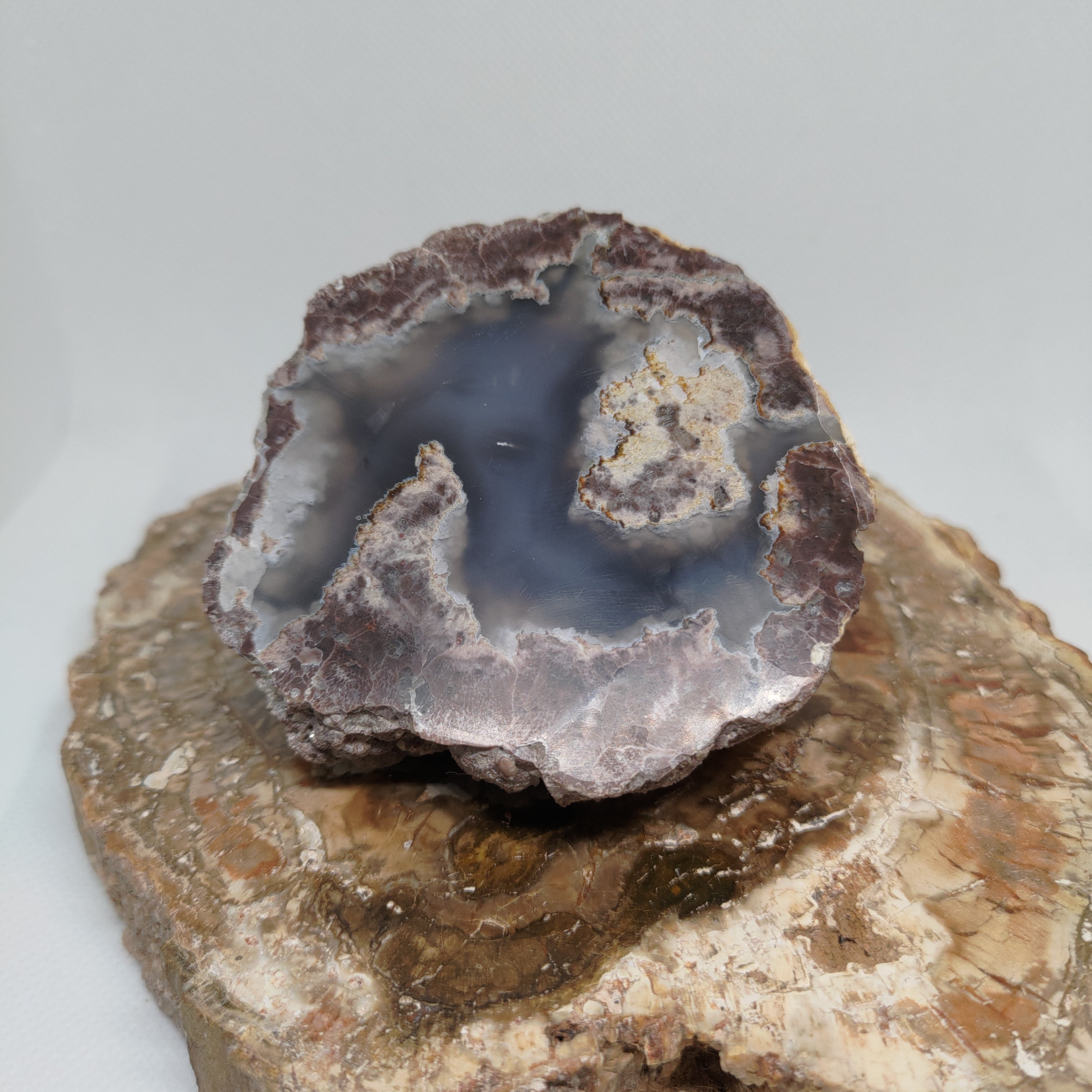 Oregon Thunderegg Ref: 0174
