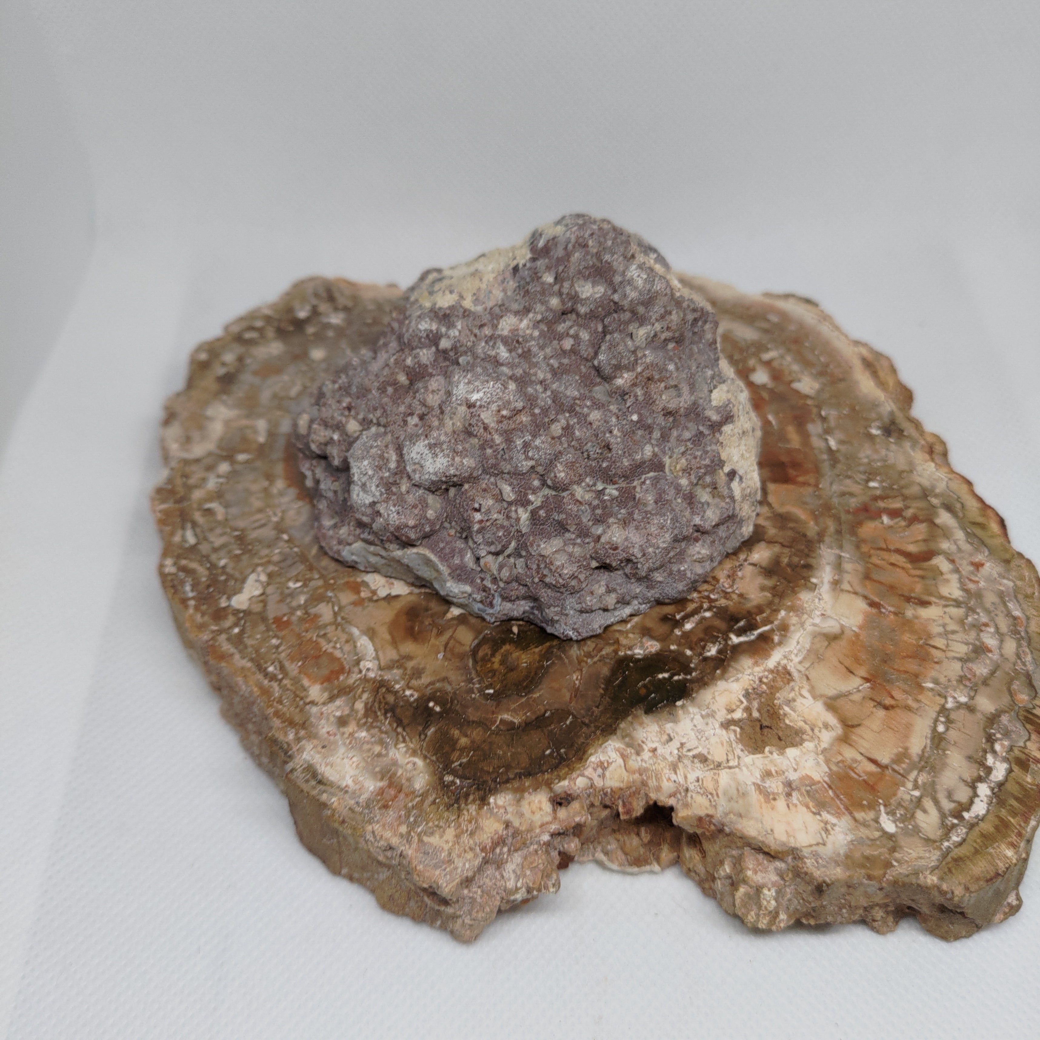 Oregon Thunderegg Ref: 0174