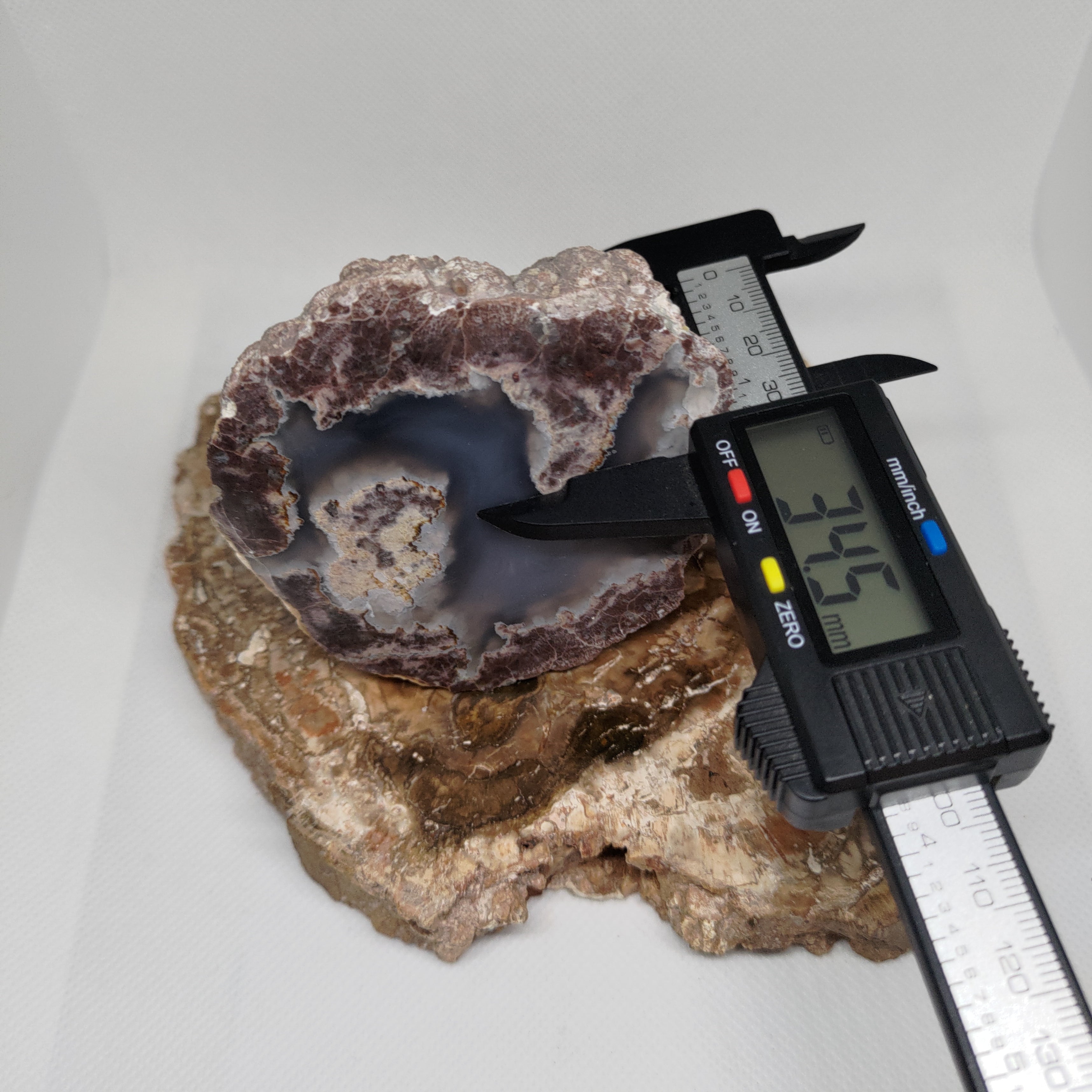 Oregon Thunderegg Ref: 0174