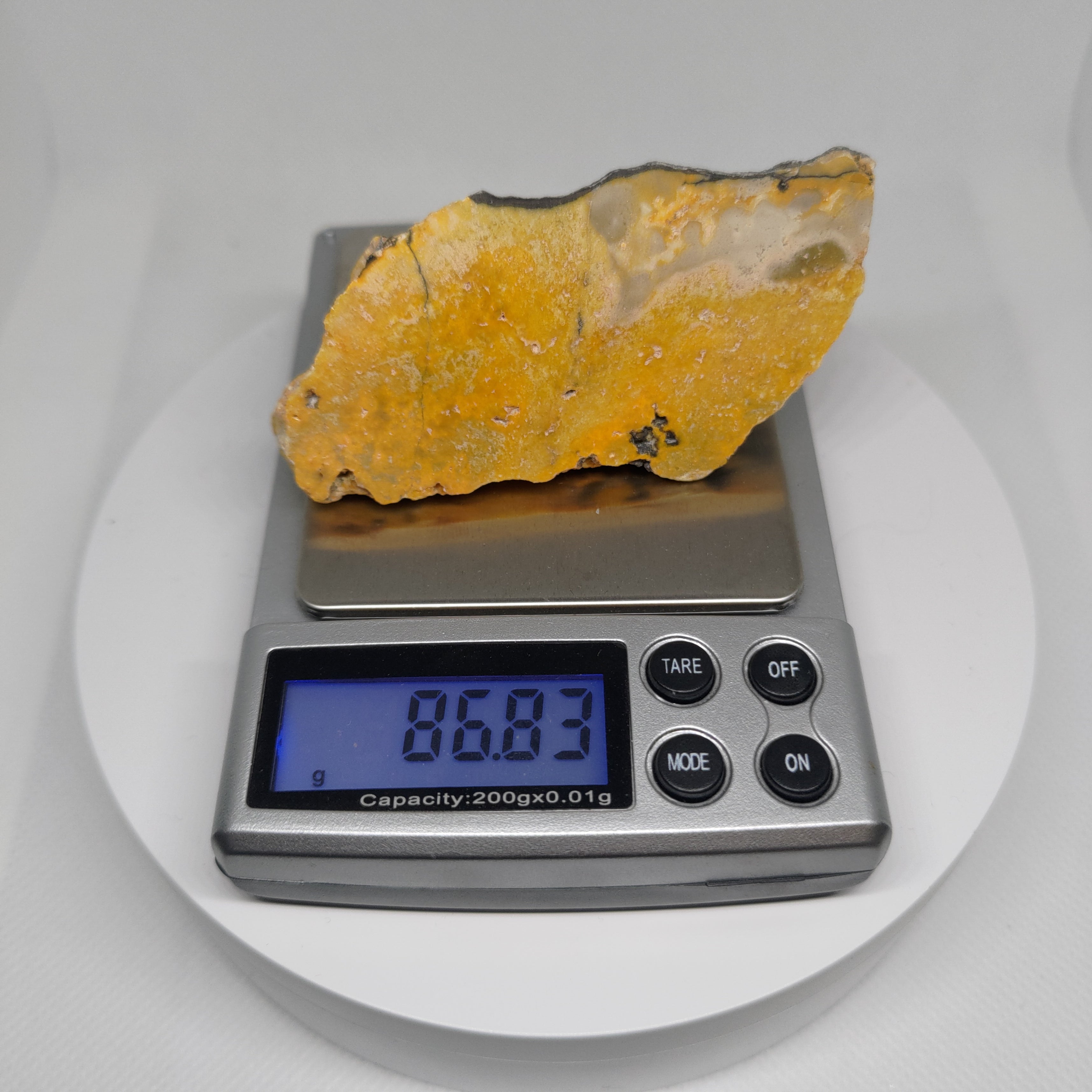 Bumble Bee Jasper Ref: 0179