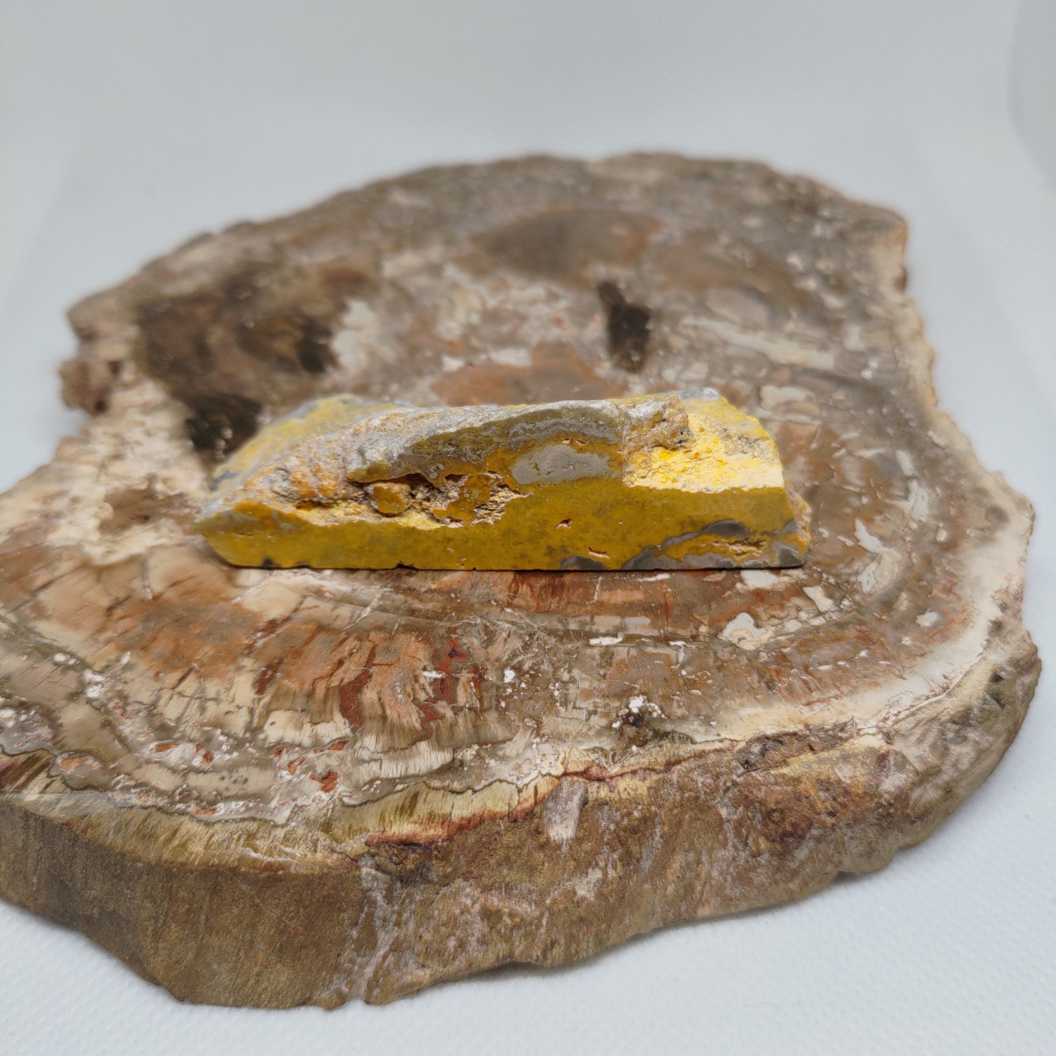 Bumble Bee Jasper Ref: 0180