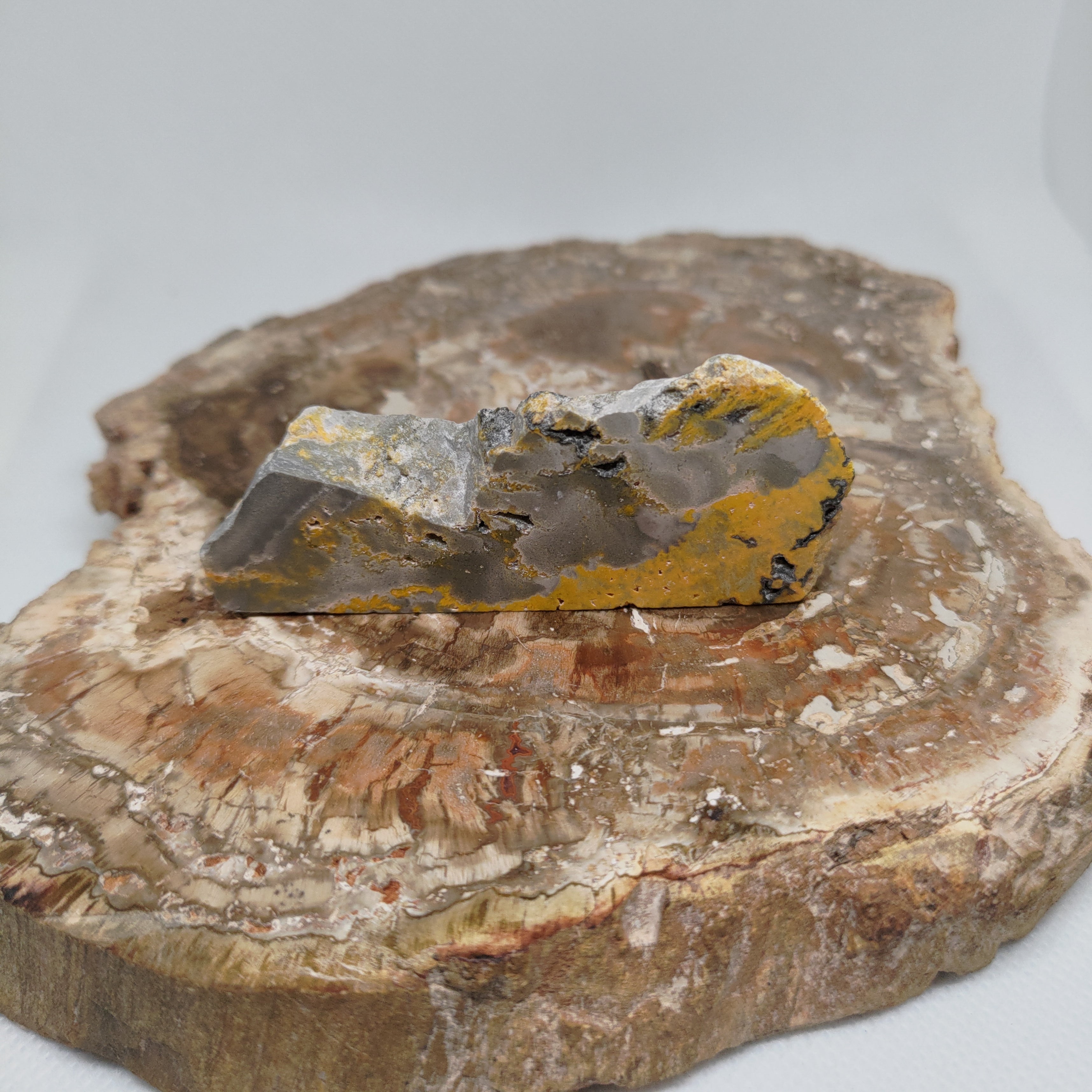 Bumble Bee Jasper Ref: 0180