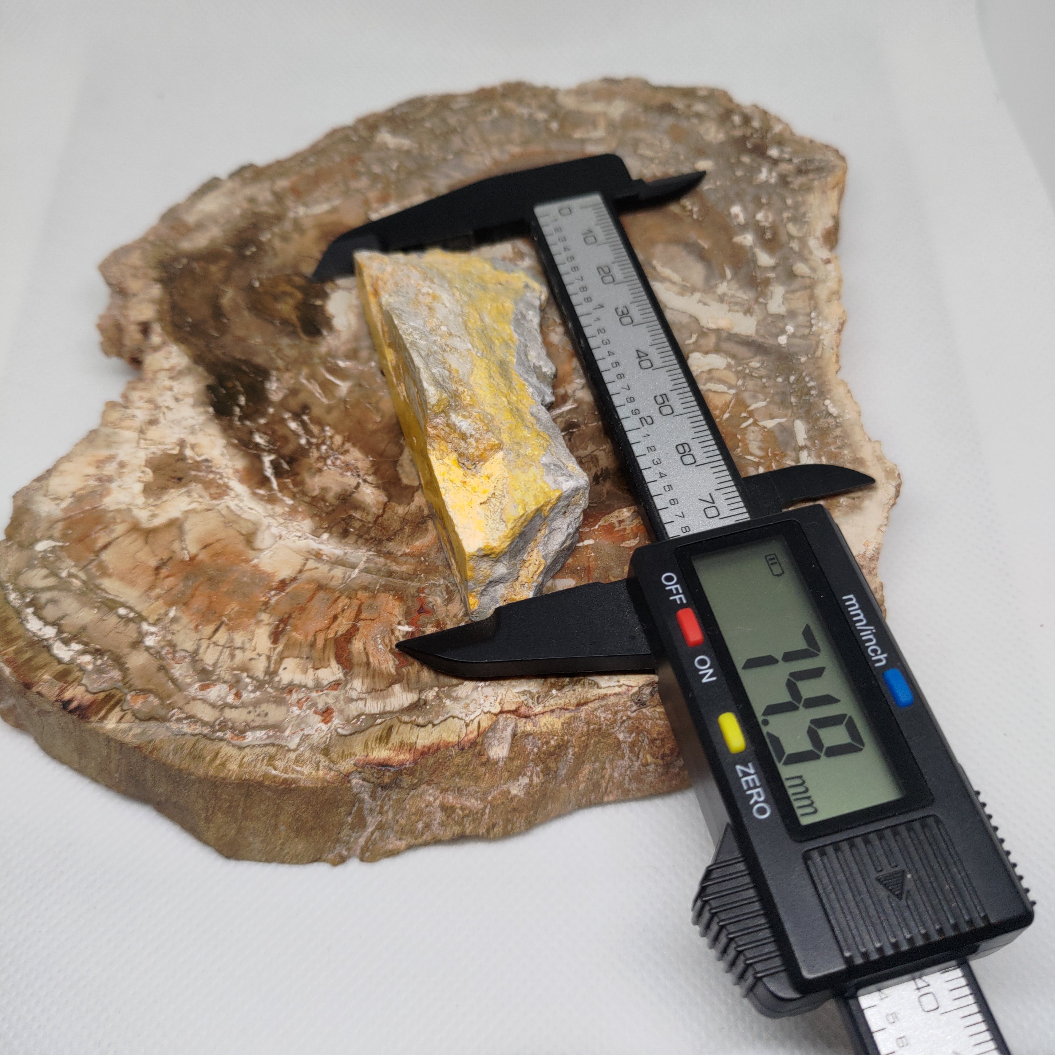 Bumble Bee Jasper Ref: 0180