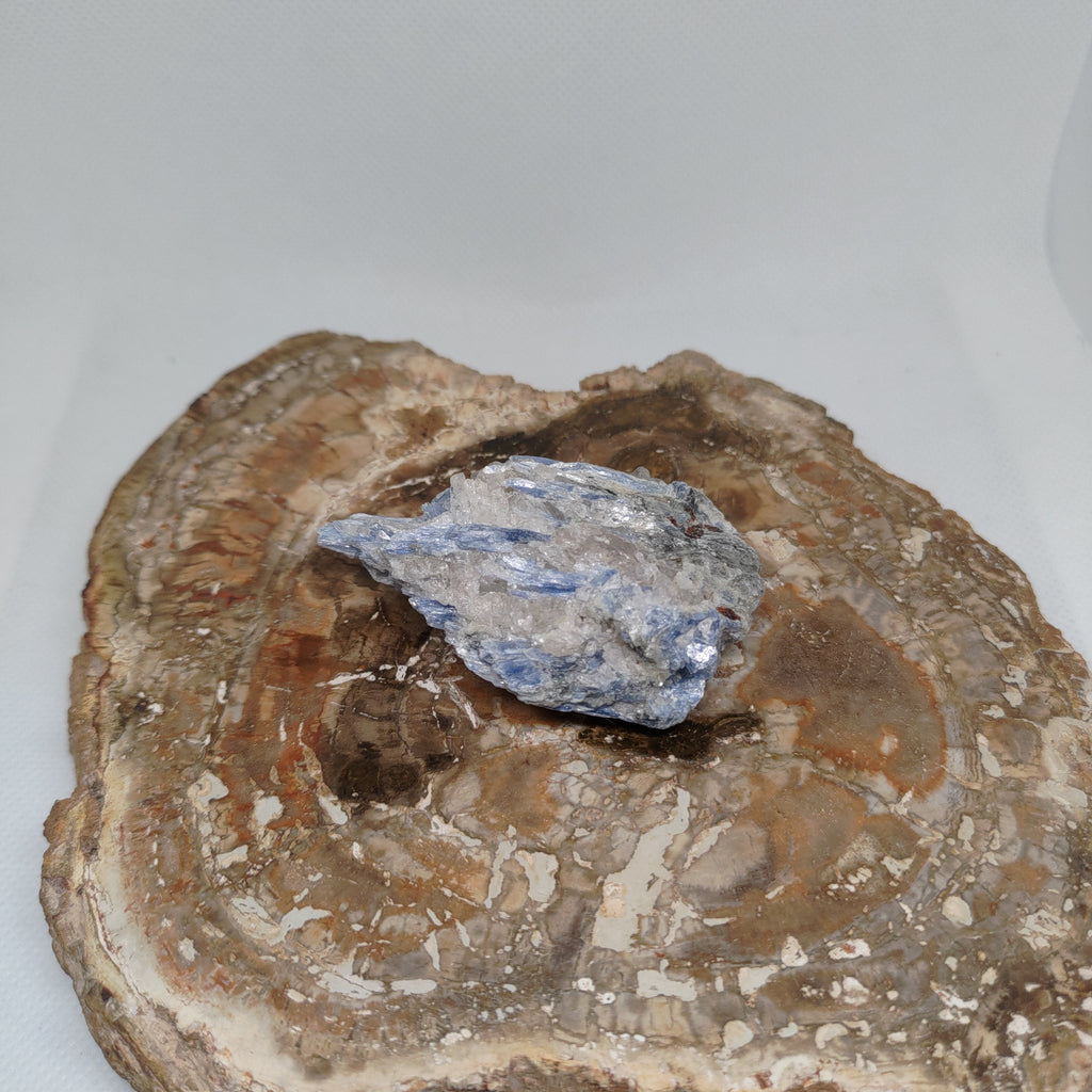 Kyanite in quartz Ref: 0186