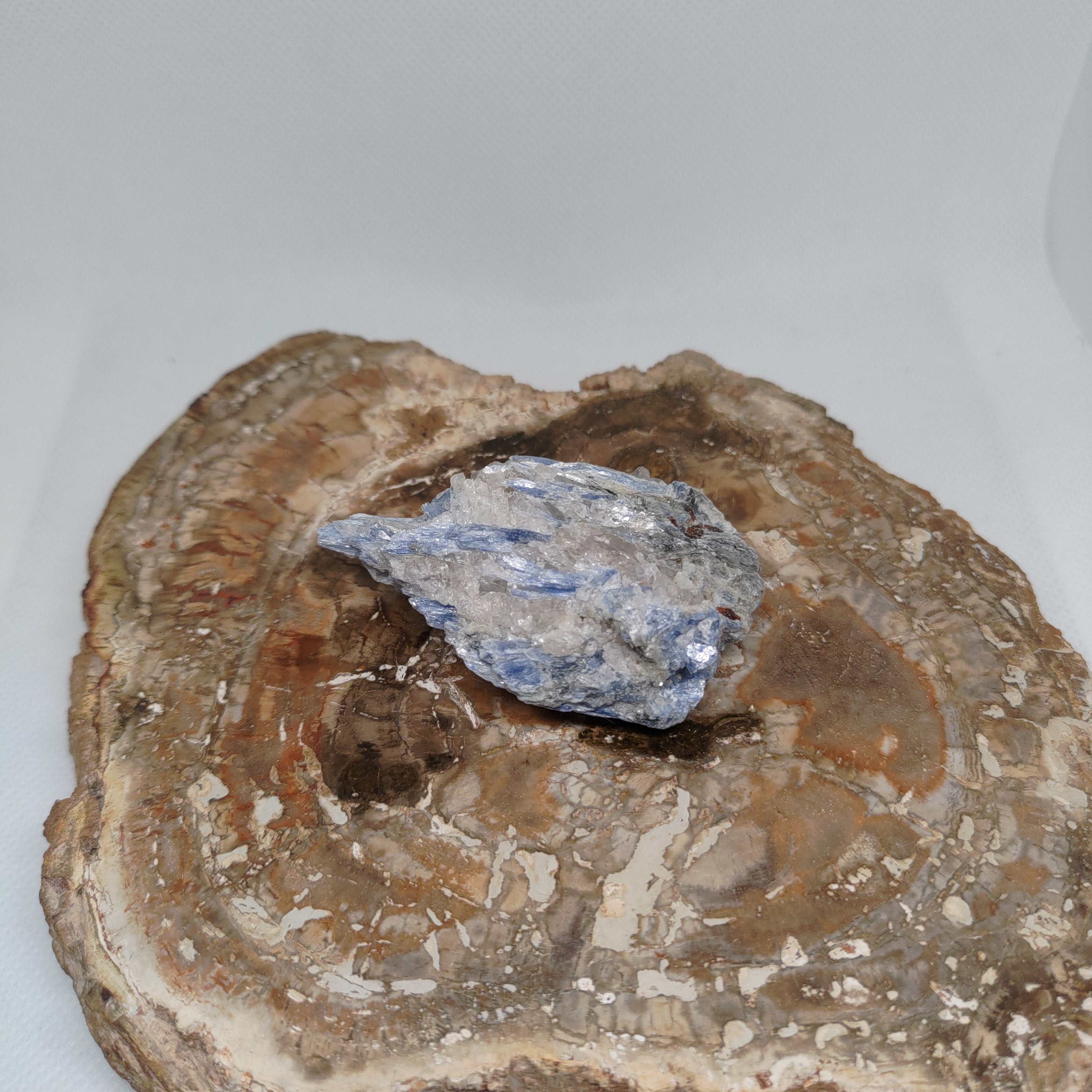 Kyanite in quartz Ref: 0186