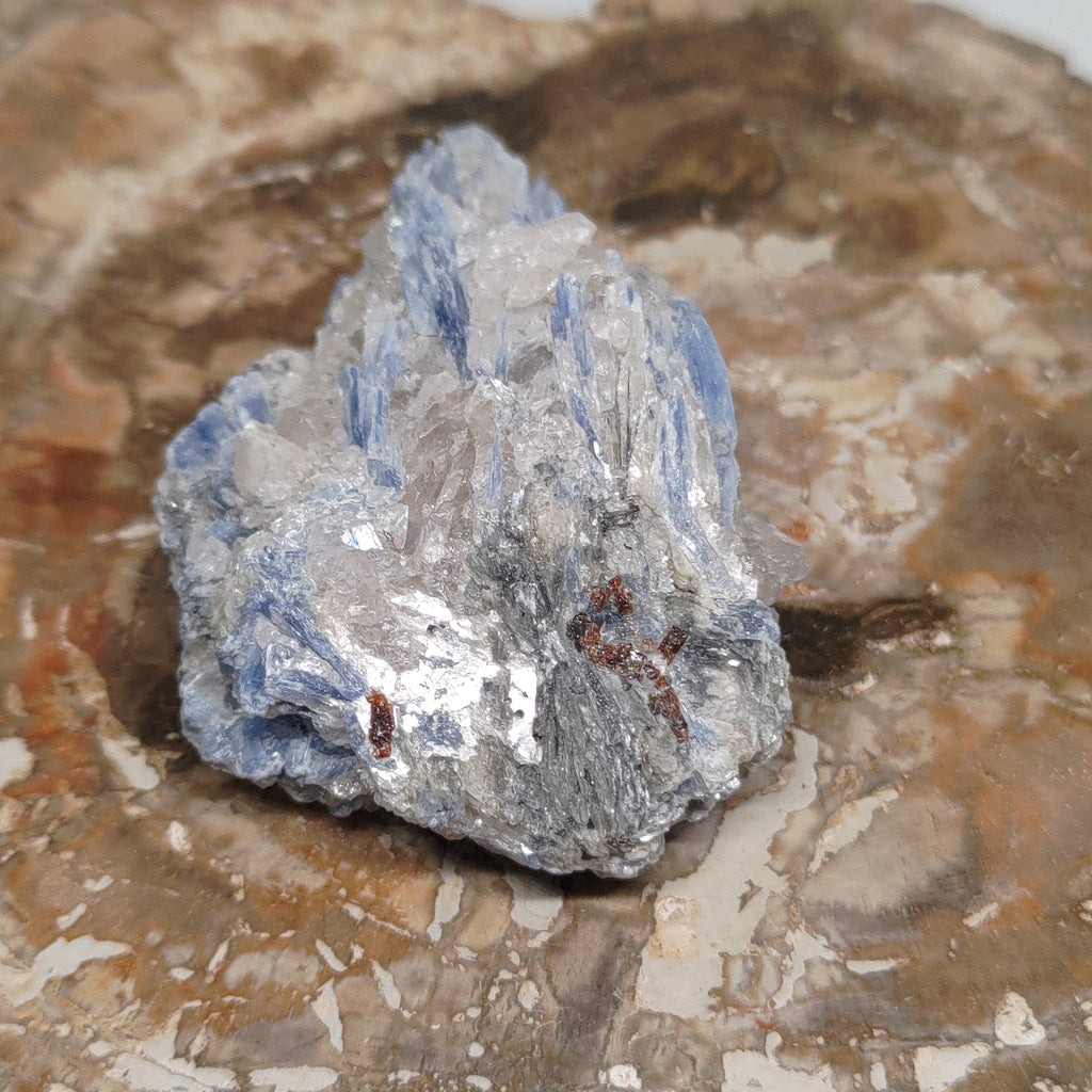 Kyanite in quartz Ref: 0186