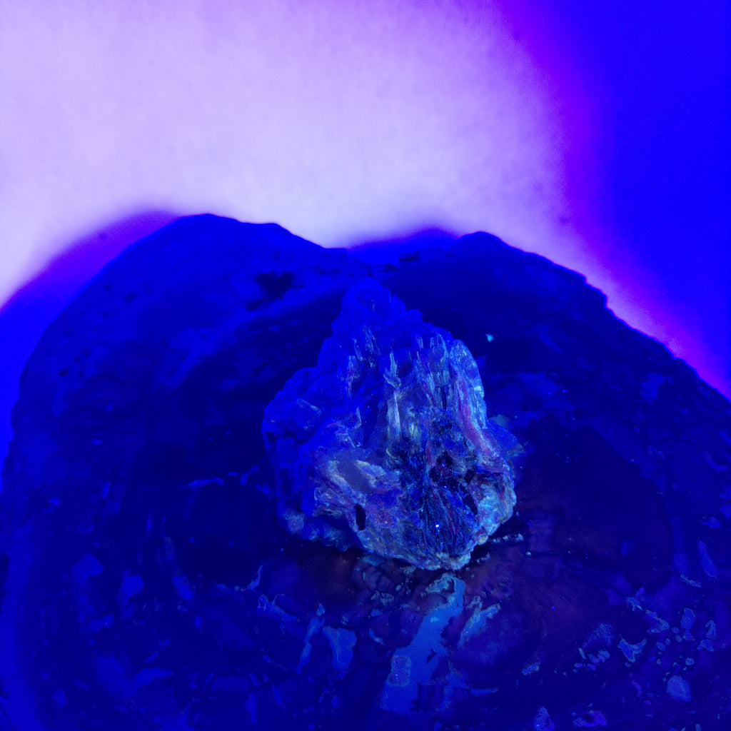 Kyanite in quartz Ref: 0186