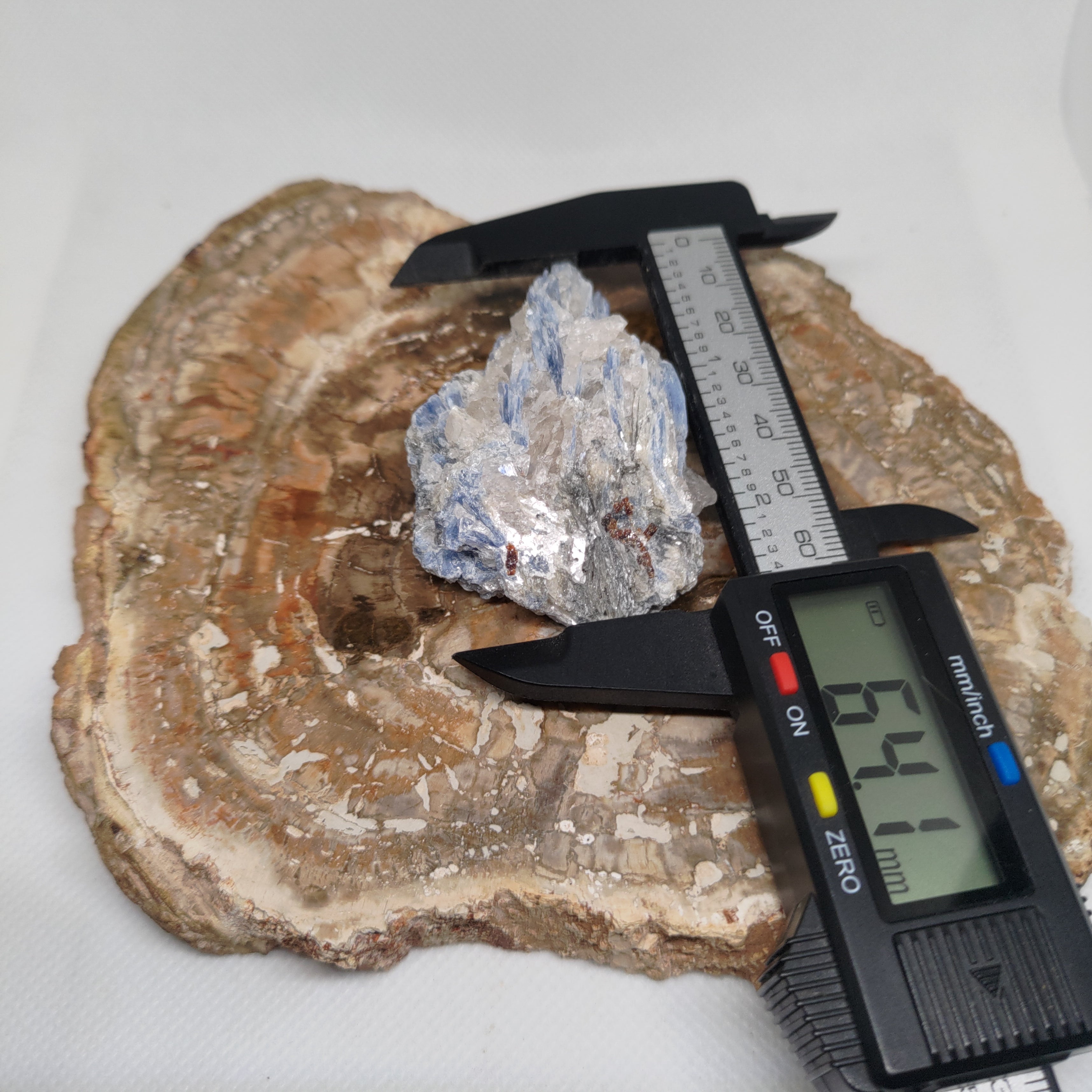 Kyanite in quartz Ref: 0186